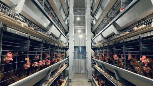 “無(wú)抗時(shí)代”對(duì)養(yǎng)殖場(chǎng)設(shè)備提出了哪些要求？