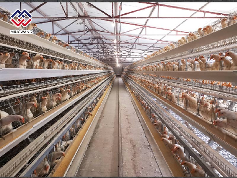 養(yǎng)殖設(shè)備對溫度的重要性