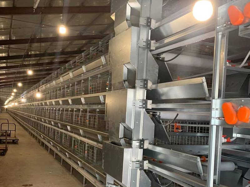 自動化養(yǎng)雞設備養(yǎng)雞怎樣選址