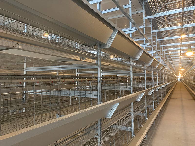 蛋雞設(shè)備日常該如何維護(hù)？明旺來告訴你