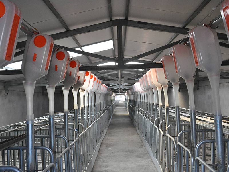 未來(lái)七年，中國(guó)豬肉產(chǎn)能將新增1400萬(wàn)頭！這類(lèi)養(yǎng)豬場(chǎng)前景廣闊！